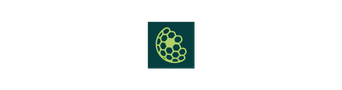 GOLFNEXT logo