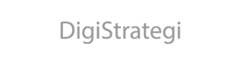 DigiStrategi logo