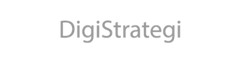 DigiStrategi logo