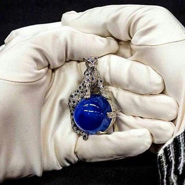 A gloved hand holding a Cartier panther clip: a diamond panther crouched atop a large cabochon sapphire, set in white gold.