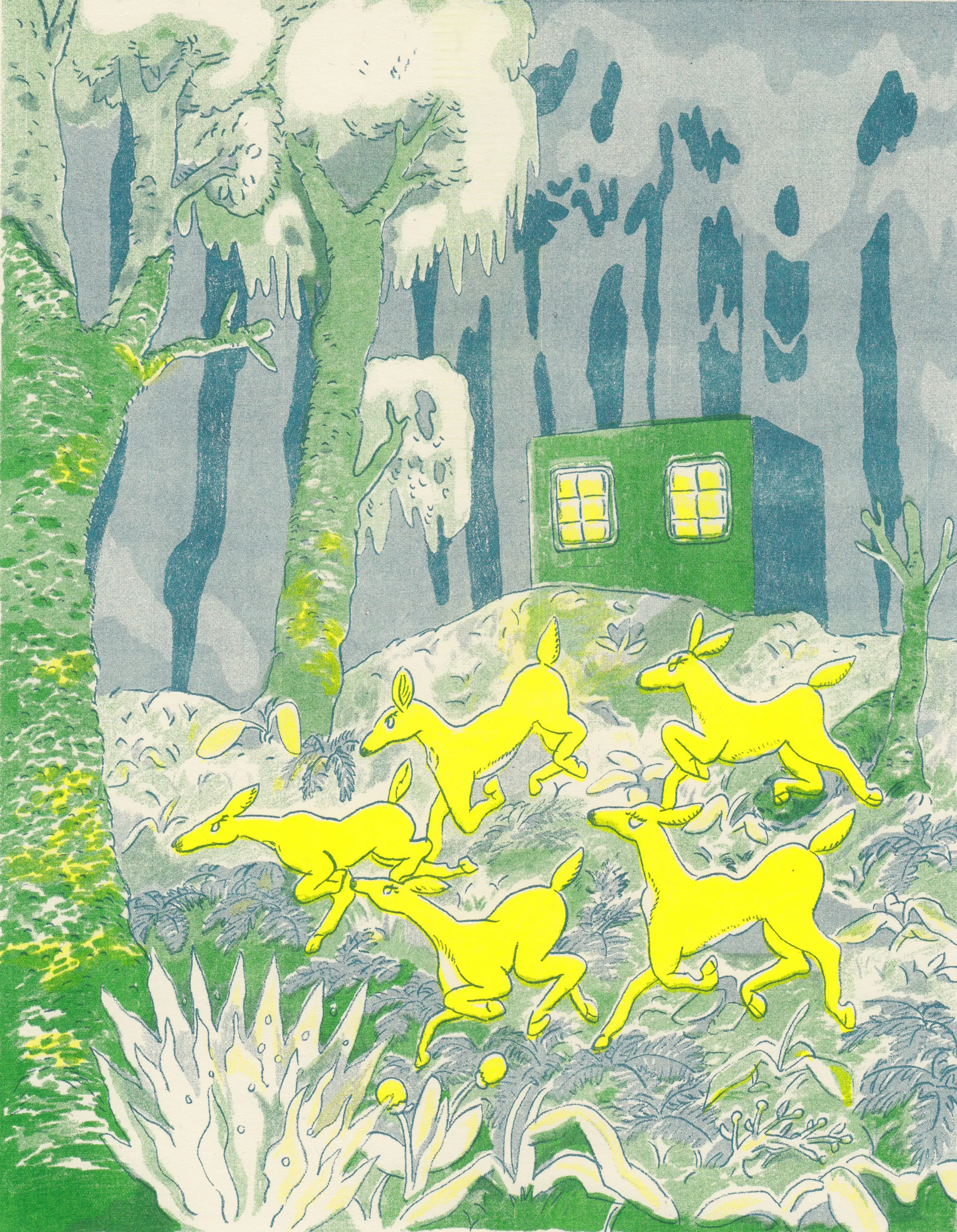 Deer in Forest