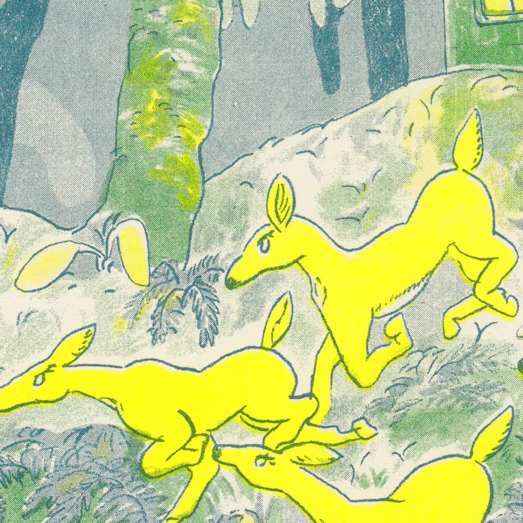 Deer in Forest