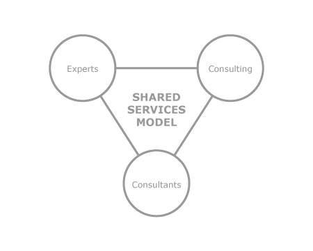 Diagram: the shared services model connecting experts, consulting and consultants