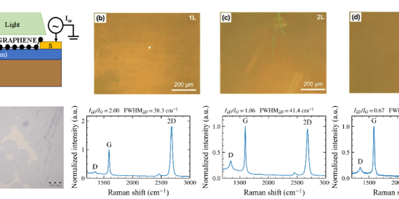 Large-area CVD graphene enables photogating-based photodetection