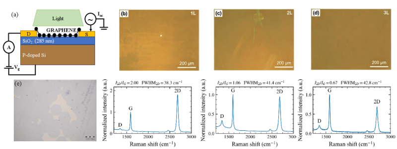 Large-area CVD graphene enables photogating-based photodetection