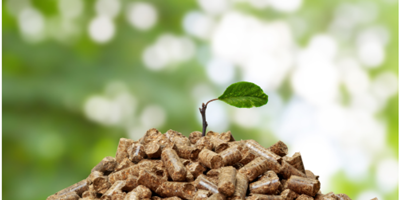 Water in biomass aids biochar production, study finds