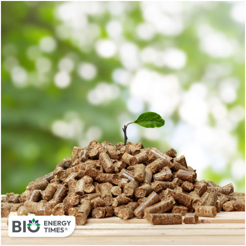 Water in biomass aids biochar production, study finds