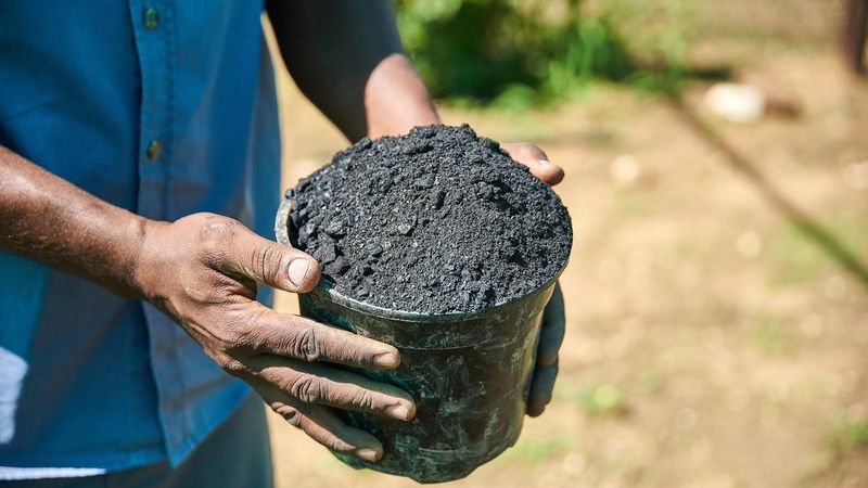 UAS-B offers low-cost biochar technology and training to farmers
