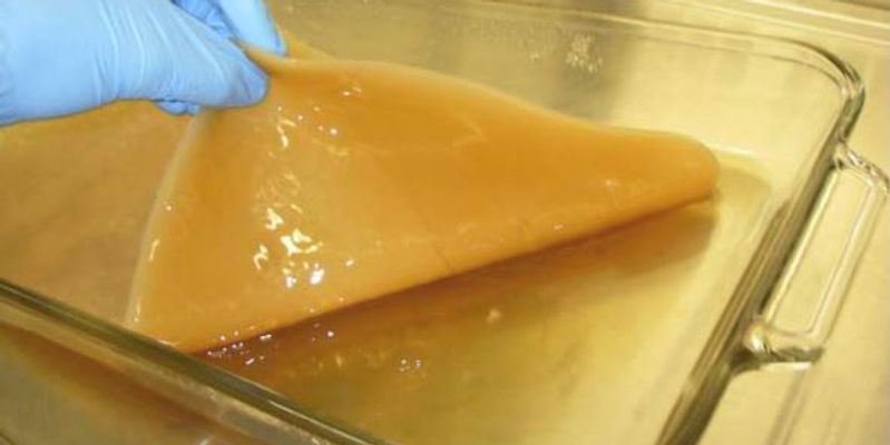 Bacterial cellulose provides sustainable option for high-performance energy storage, study finds