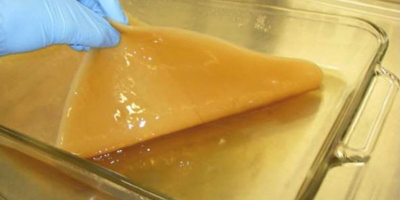 Bacterial cellulose provides sustainable option for high-performance energy storage, study finds
