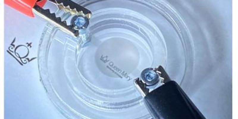 Researchers use reduced graphene oxide electrodes to build compact tunable soft lens