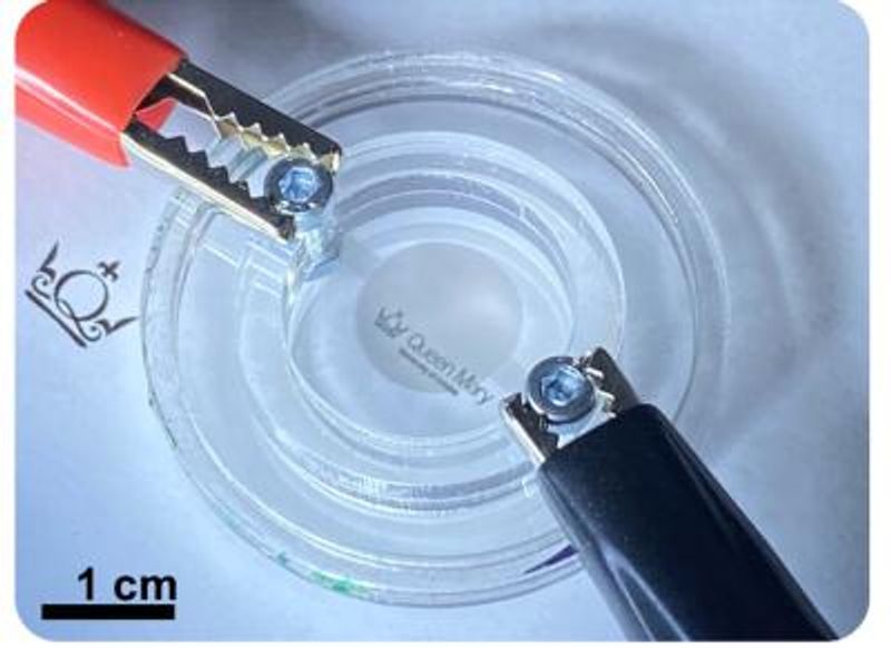 Researchers use reduced graphene oxide electrodes to build compact tunable soft lens