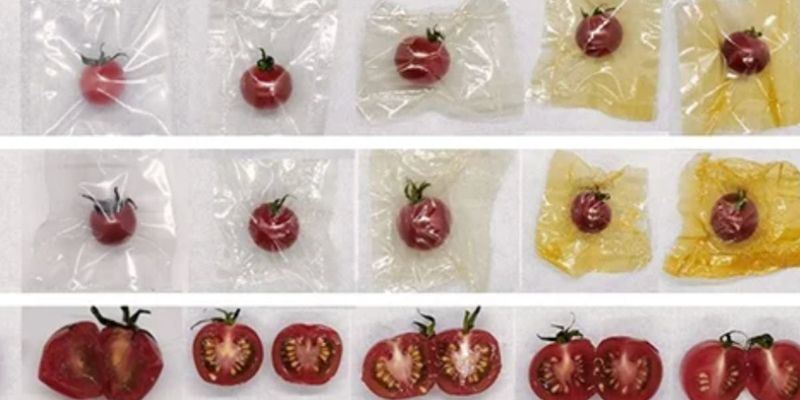 Pumpkin peel outperforms plastic packaging in lab tests