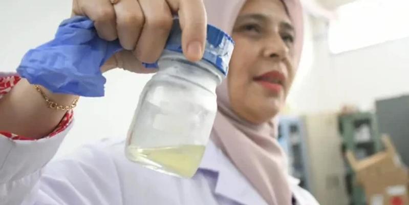 BRIN Turns Palm Oil Waste Into Renewable Energy