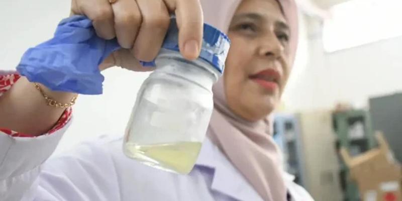 BRIN Turns Palm Oil Waste Into Renewable Energy