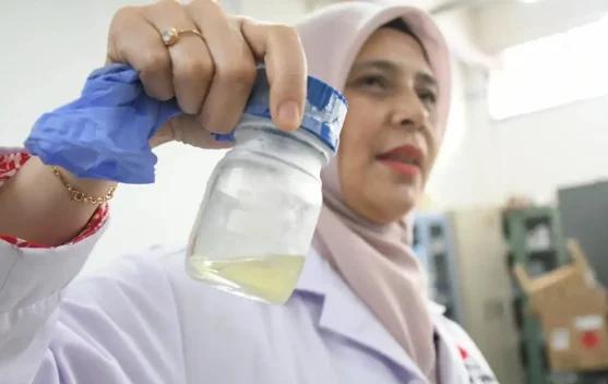 BRIN Turns Palm Oil Waste Into Renewable Energy