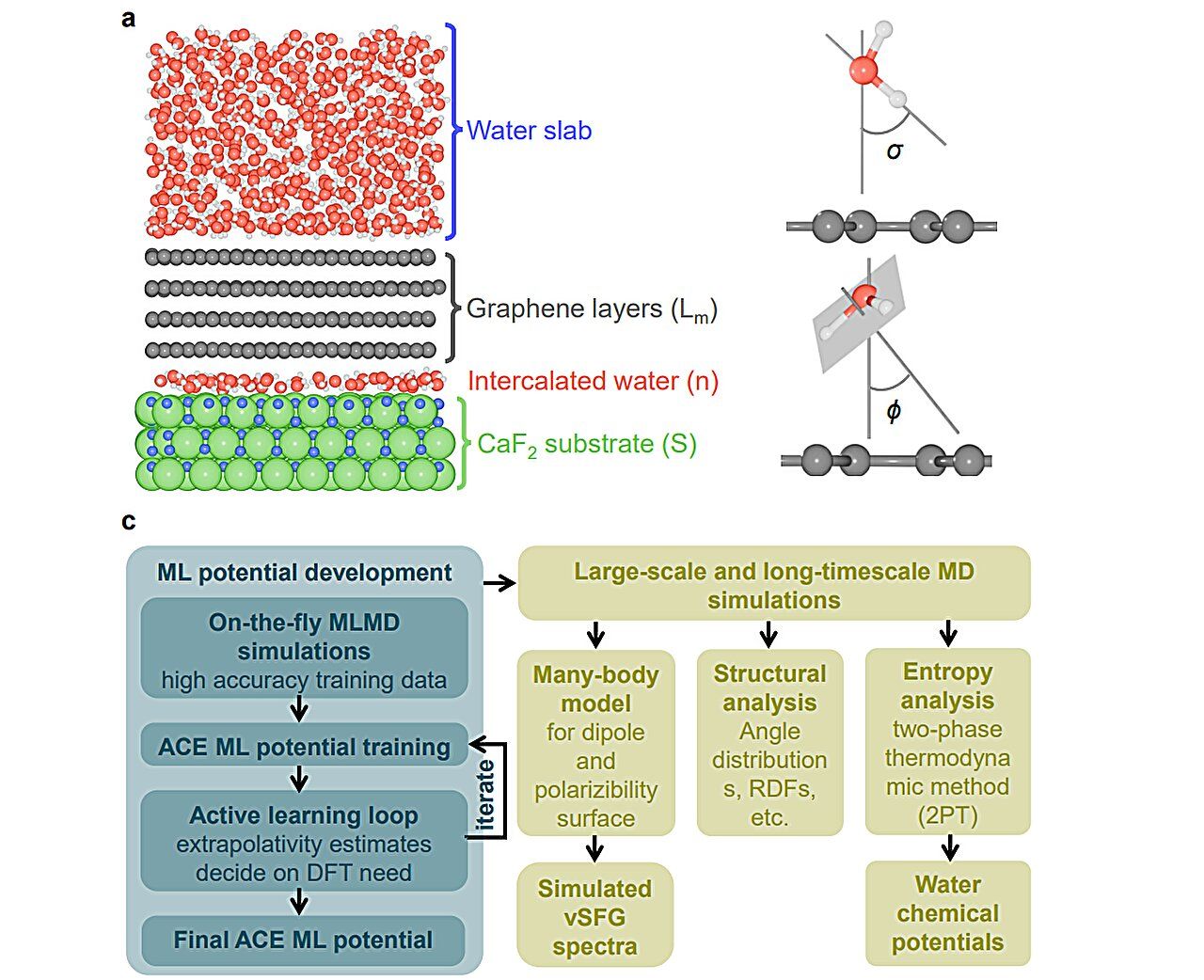 Machine learning proves graphene is hydrophobic