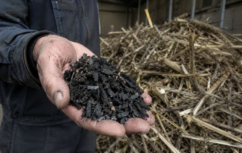 Proposed EU carbon market update may boost hemp business case starting in 2030