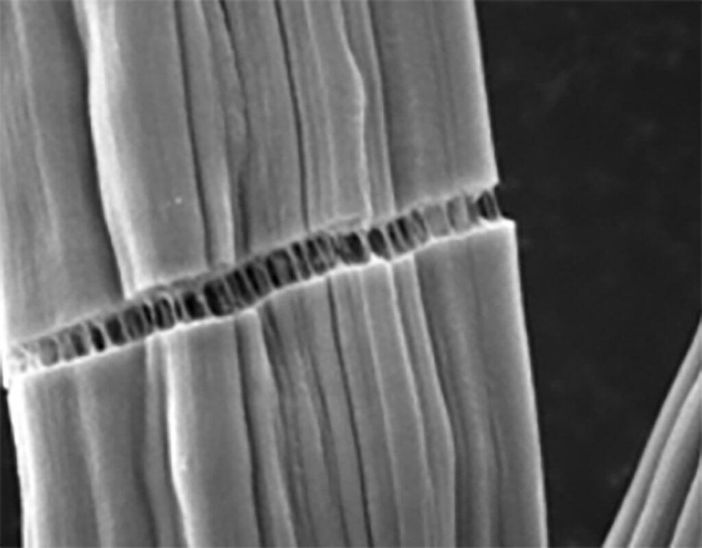 WashU develops automotive-grade carbon fiber from lignin waste
