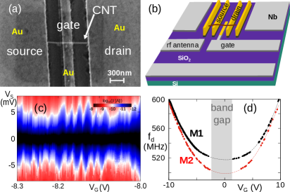 Anomalous Duffing response in suspended CNT quantum dot at ultrastrong coupling