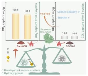 Turning sargassum waste into high-performance carbon capture material