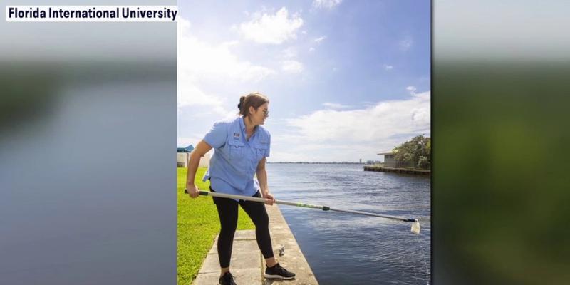 Study tracks toxic chemical from tire pollution in Hillsborough River