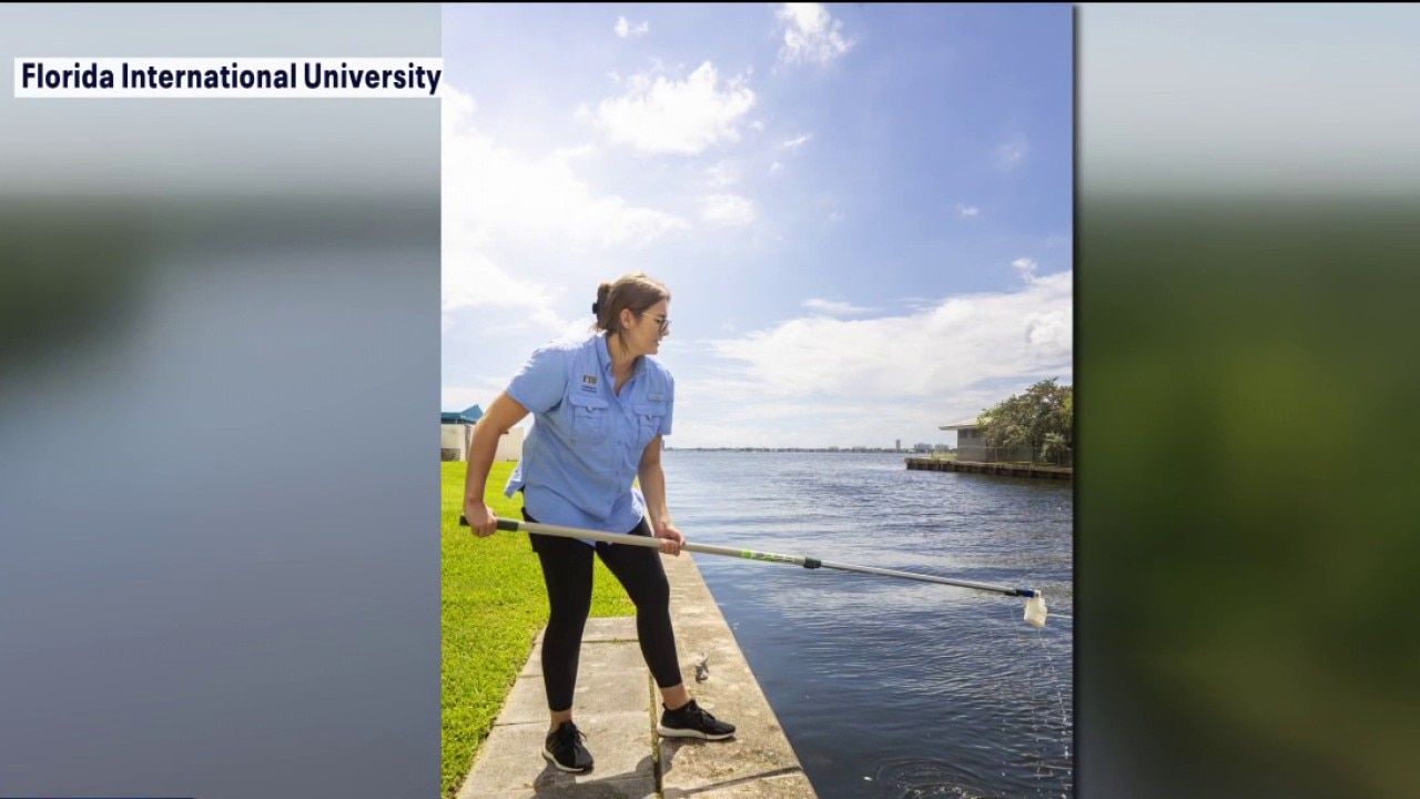Study tracks toxic chemical from tire pollution in Hillsborough River