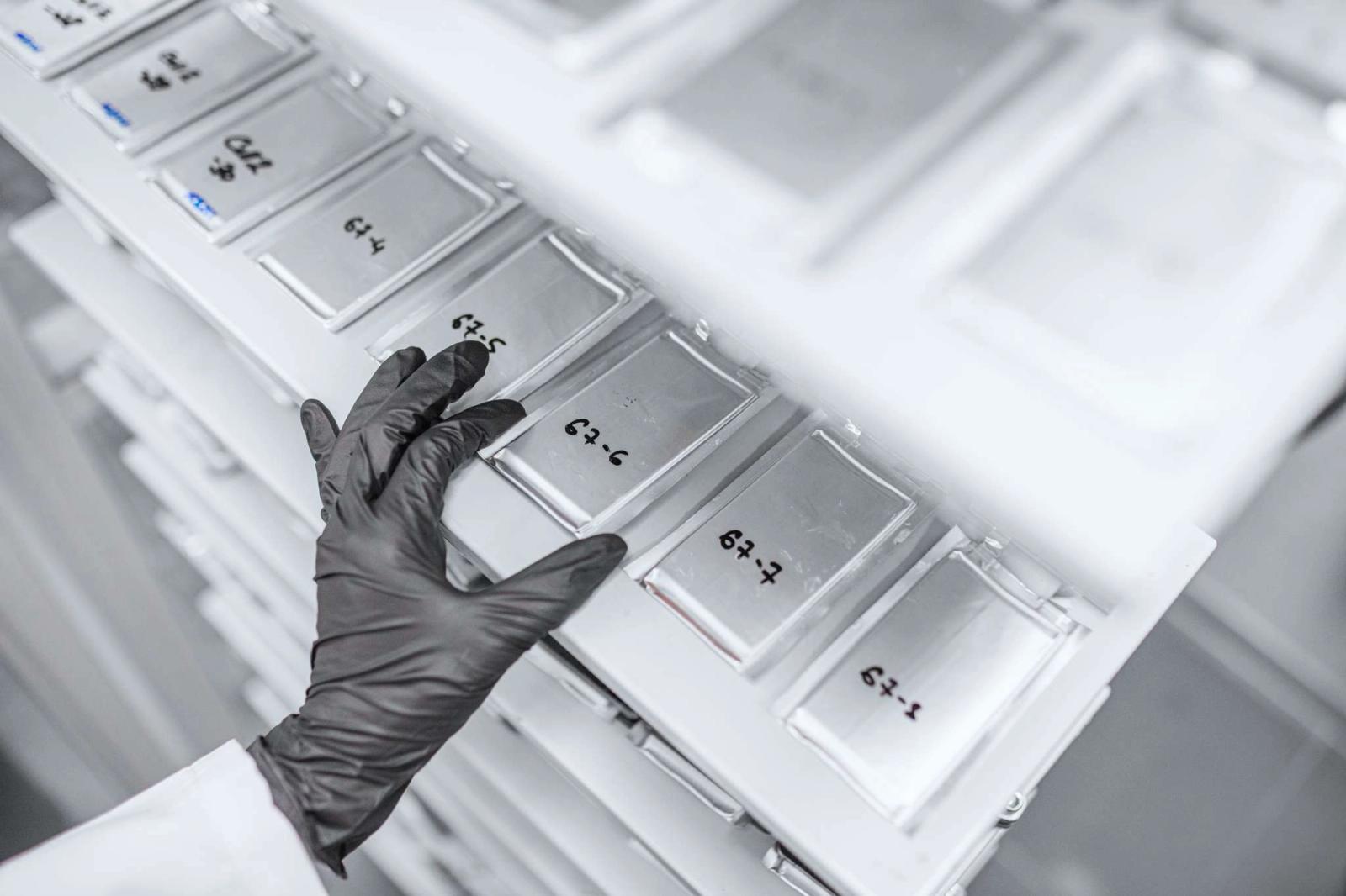 OCSiAl named supplier of carbon nanotubes for PowerCo's Unified Cell batteries