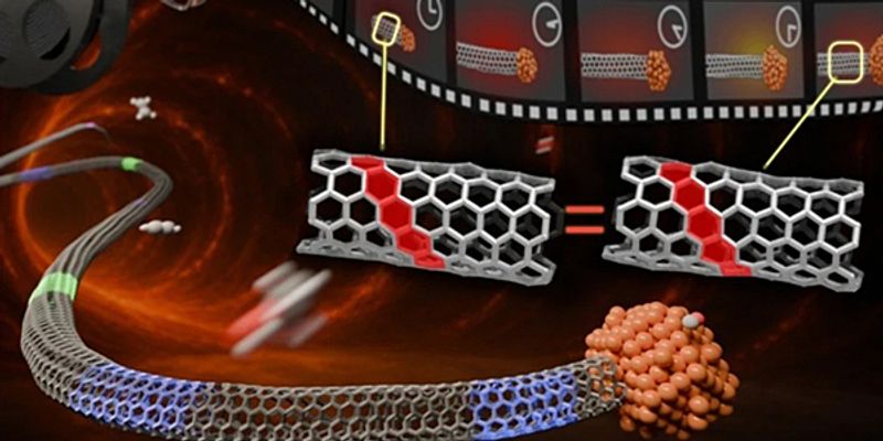 Nanotube chirality set early and preserved during growth shows structural memory