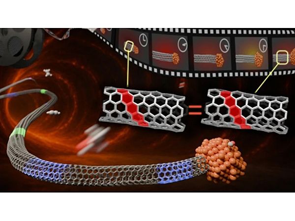 Nanotube chirality set early and preserved during growth shows structural memory