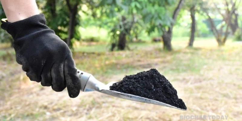 Exomad Green and Carbonfuture increase biochar carbon removal supply