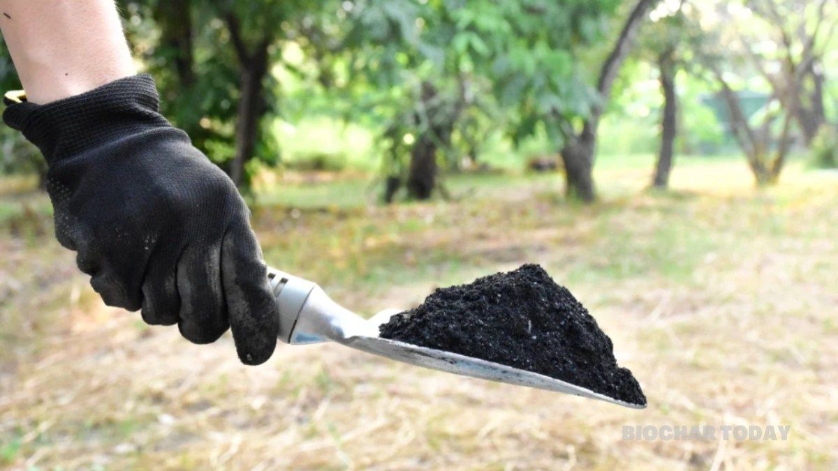 Exomad Green and Carbonfuture increase biochar carbon removal supply