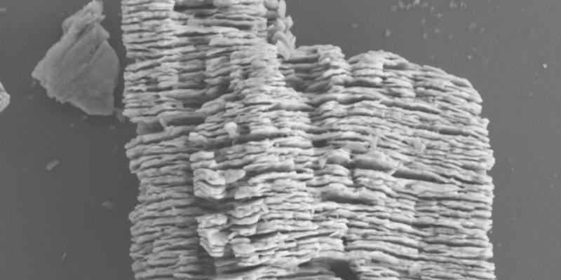Introducing rare earth MXenes