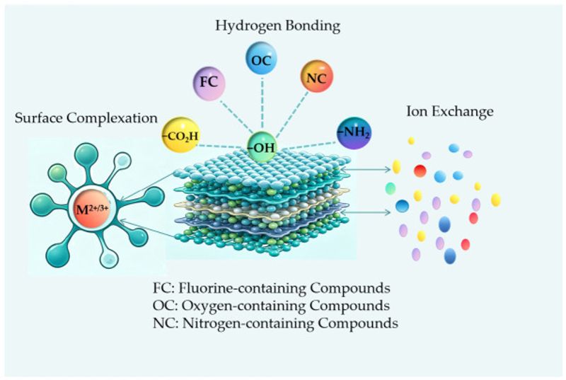 Review on preparation of LDHs/biochar composites and their water applications