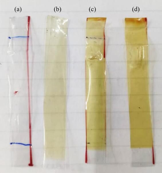 Fabrication and characterization of shape memory polyurethane with GNP and MWCNTs