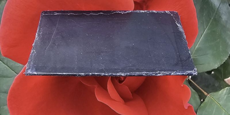 Bamboo-based composite material blocks electromagnetic radiation