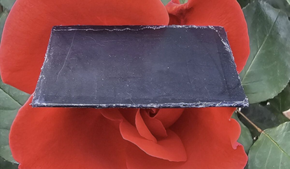 Bamboo-based composite material blocks electromagnetic radiation