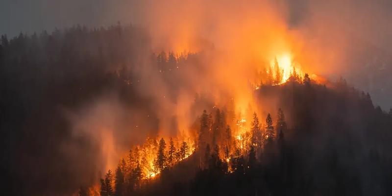 Biochar production offers practical wildfire prevention solution