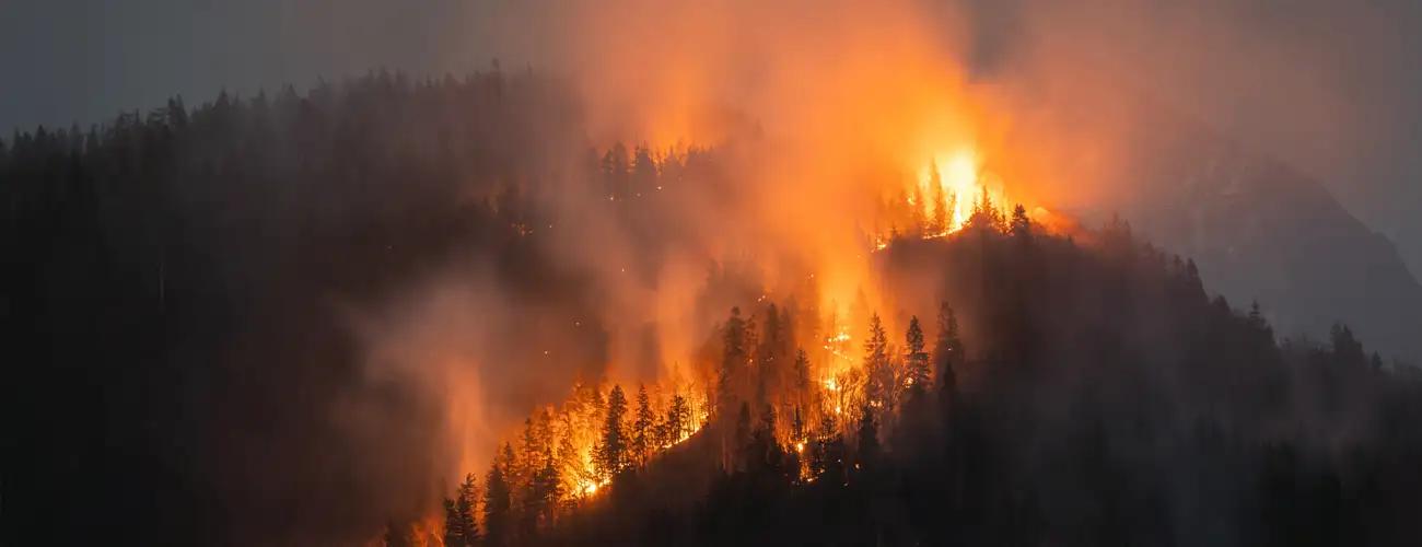Biochar production offers practical wildfire prevention solution