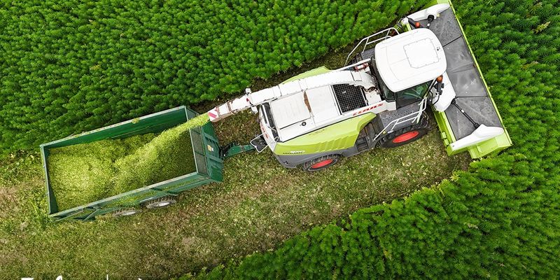 Producing biochar from waste biomass in Wales for carbon removal