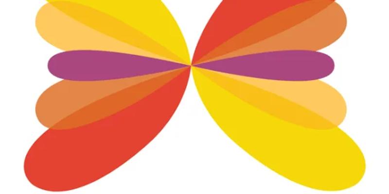 Himadri to build India's first carbon nanotube facility