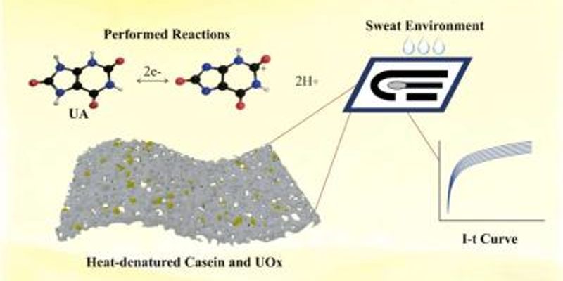 3D graphene biosensor detects uric acid in sweat at femtomolar levels