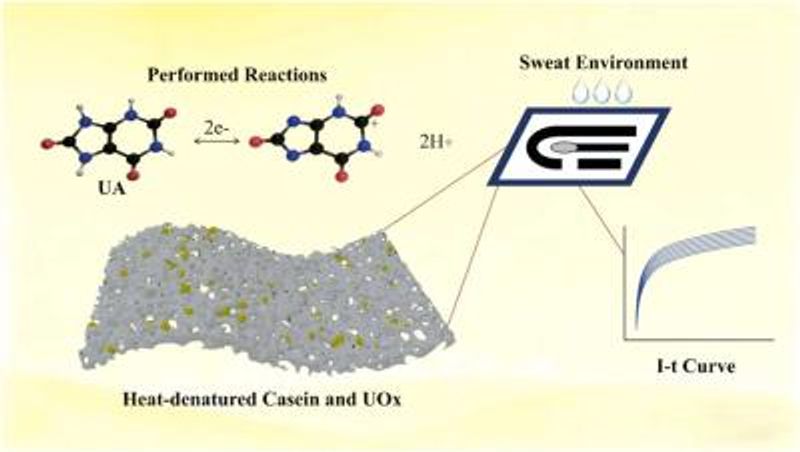 3D graphene biosensor detects uric acid in sweat at femtomolar levels