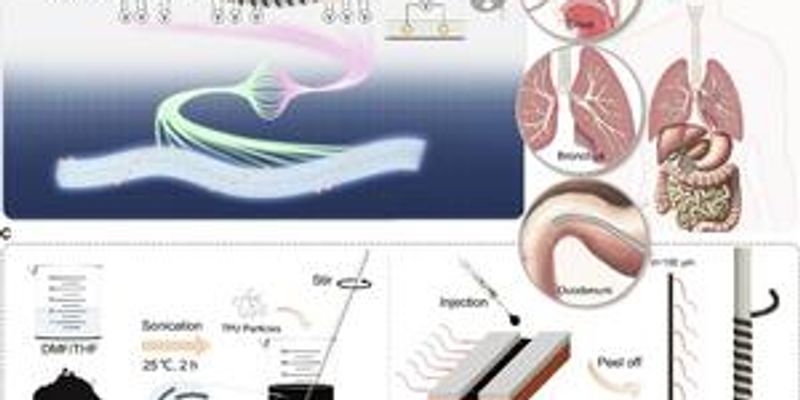 Enhancing shape sensing of slender medical robots with carbon nanotubes