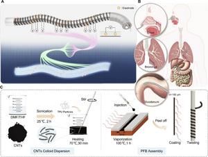 Enhancing shape sensing of slender medical robots with carbon nanotubes