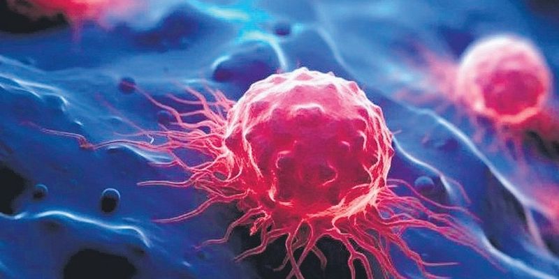 New nanocarbon compound shows promising anti-cancer activity