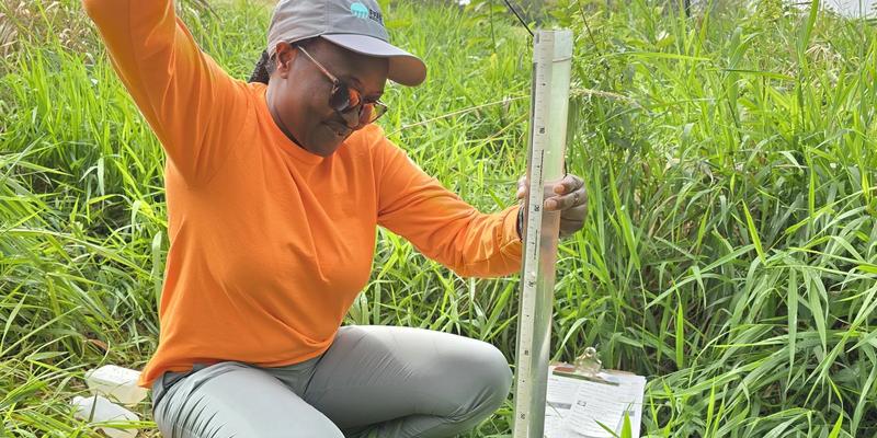 Biochar in stormwater BMPs: improving infiltration and retention