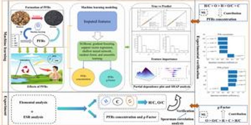 Machine learning uncovers elemental clues behind persistent free radicals in biochar