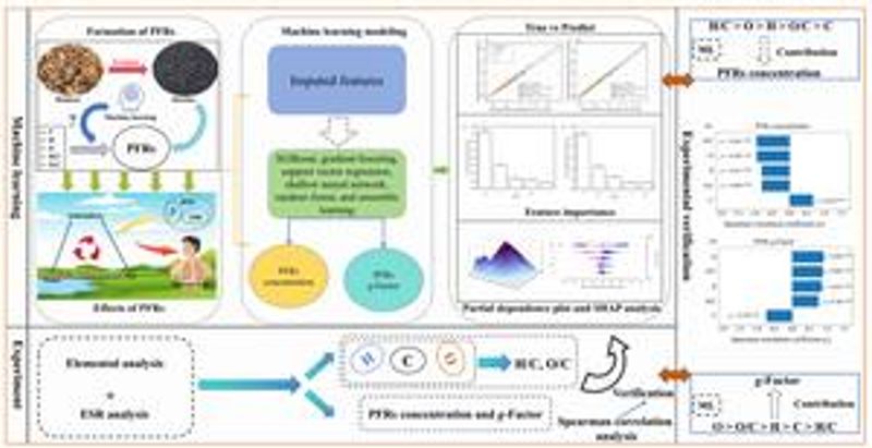 Machine learning uncovers elemental clues behind persistent free radicals in biochar