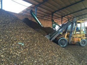 Beyond the kernel, cashew shells fuel new industries in Côte d'Ivoire